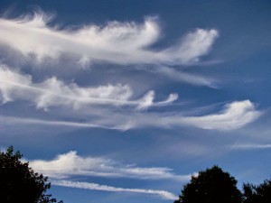 Mare's tail clouds         